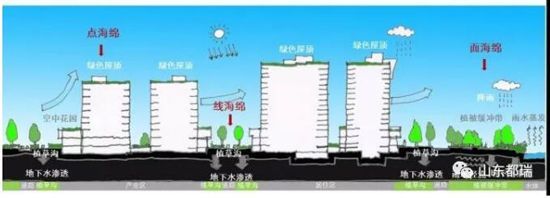 如何理解「海綿城市」的概念？